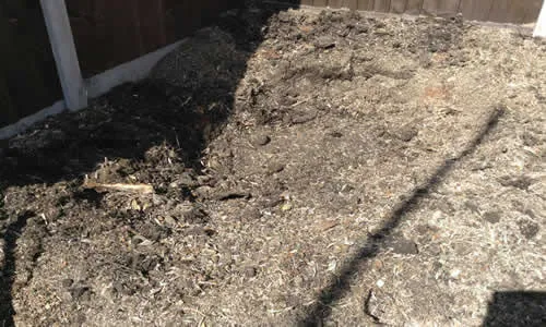 tree stump removal