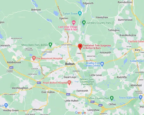 map showing Treelation location and areas covered