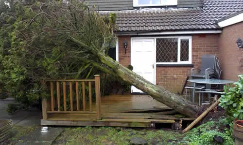 Storm-damaged tree fallen across garden decking at a Bolton house
