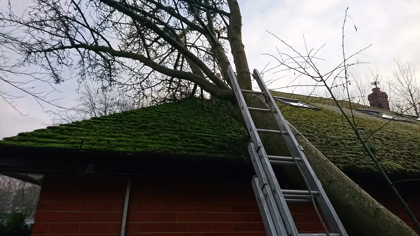 Large tree fallen onto a garage roof in Bolton after a storm, ready for removal by Treelation