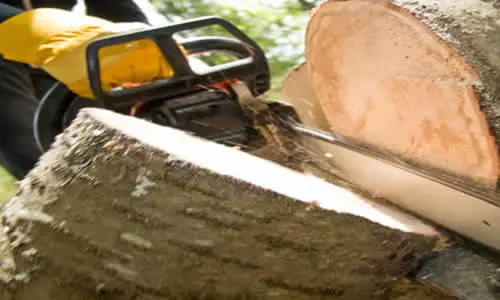 Chainsaw cutting through a felled tree trunk during tree removal in Bolton
