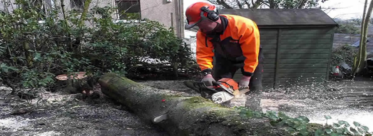 Treelation tree surgeon cutting up a felled tree trunk in a Bolton garden
