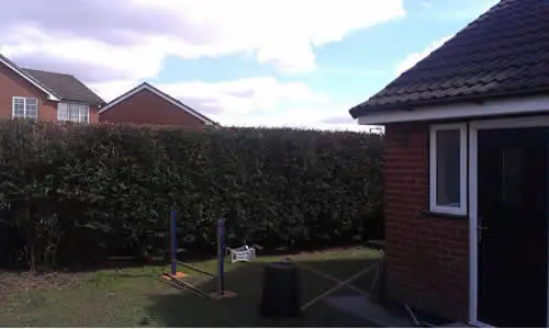 The same hedge neatly reduced, letting more light into the garden
