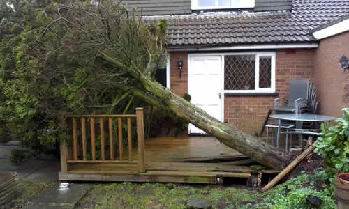 Storm-damaged tree fallen across decking against a Bolton house