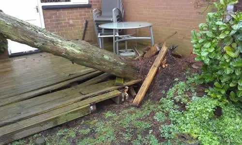 Fallen trunk and broken decking after a storm