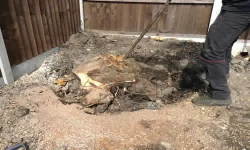 Ground after a tree stump was removed in Bolton
