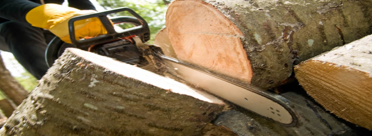 tree removal bolton