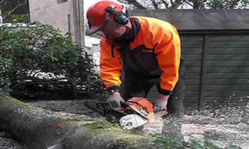 tree surgeon Bolton